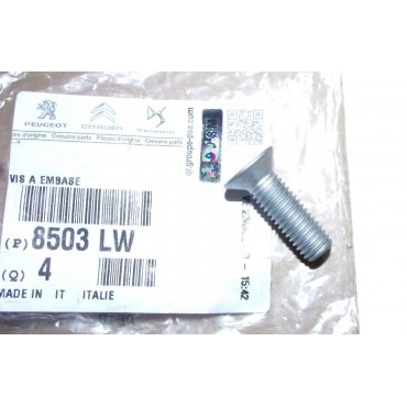 Vis Fixation Gache Serrure de Porte Pour Citroën Jumper 8503LW