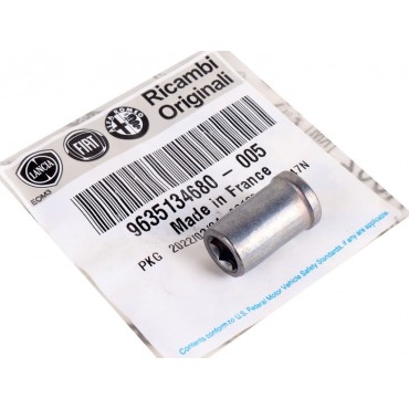 écrou d'Injecteur Pour Peugeot 406 607 Boxer Fiat Citroën Jumper 9635134680