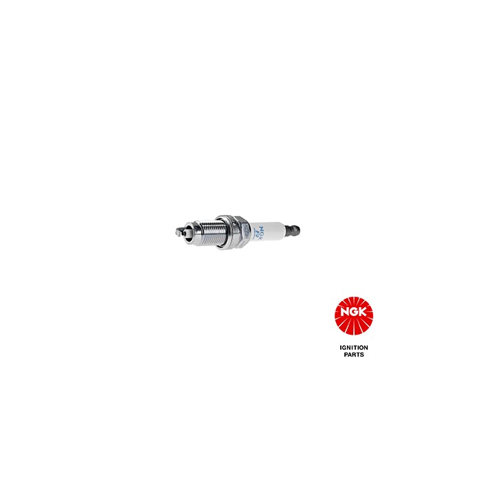 Courroie d'Accessoire Pour Renault Fiat Alfa Romeo Lancia 117205453R 60568842