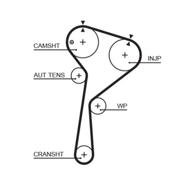 Kit Courroie Distribution Pour Renault Clio II Kangoo Megane Scénic Thalia I