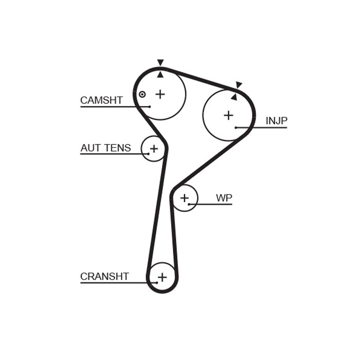 Kit Courroie Distribution Pour Renault Clio II Kangoo Megane Scénic Thalia I