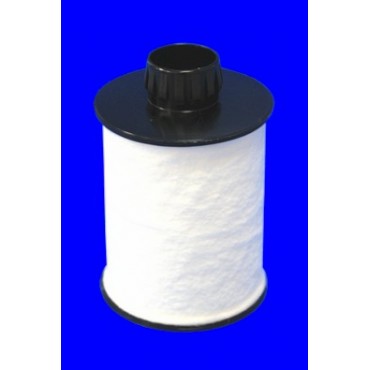 Filtre à Carburant Pour...