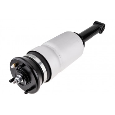 Amortisseur de Suspension Avant Pour Land Rover