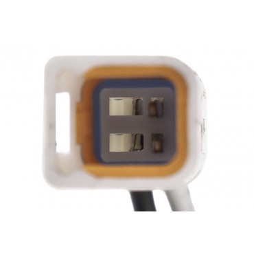 Amortisseur de Suspension Avant Pour Land Rover