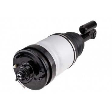 Amortisseur de Suspension Avant Pour Land Rover