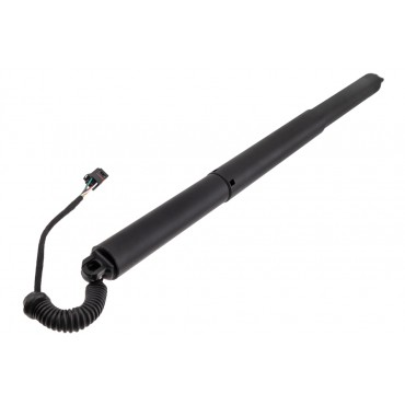 Vérin de Coffre Gauche Pour Skoda Scala 657827851D, 657827851F