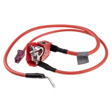 Cable de Batterie Plus Pour BMW Série 5 F90 G30 G31 7 G11 G12 61126998059