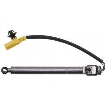 Actionneur Charnière Capot Moteur Pour Audi A4 8W0823823, 8W0823823C