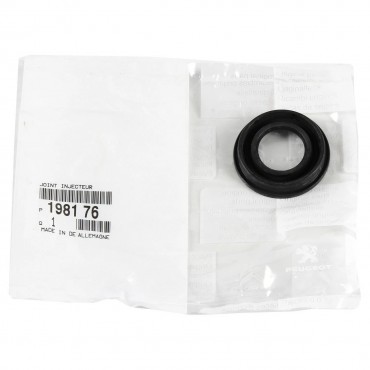 Joint d'Injecteur Pour Peugeot Boxer Fiat Ducato Ford Citroën 198176 966222180