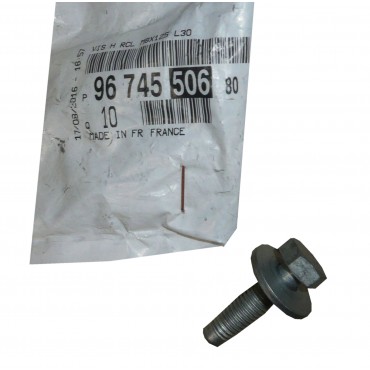 Vis Rondelle Pour Citroën Berlingo