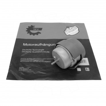 Support Moteur Droit Pour Audi A4 Seat Exeo 8E0199382AG