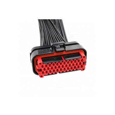 Faisceau Broche Connectique