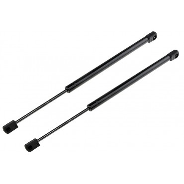 x2 Vérin Hayon de Vitre...