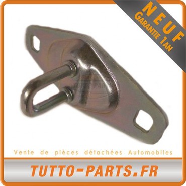 Loquet Porte Arrière pour CITROEN FIAT PEUGEOT