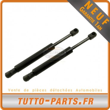 X2 Vérin Hayon Coffre pour Alfa Romeo 159