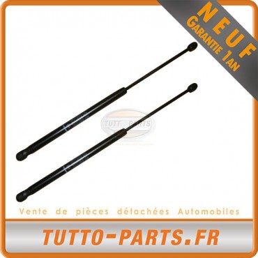 X2 Vérin Hayon Coffre pour Fiat Bravo II (198) (11/06-)