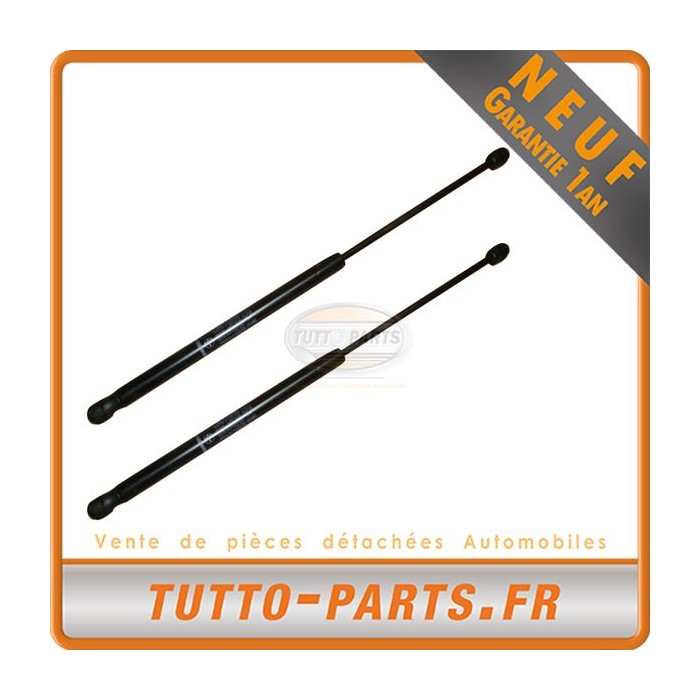 X2 Vérin Hayon Coffre pour Fiat Bravo II (198) (11/06-)