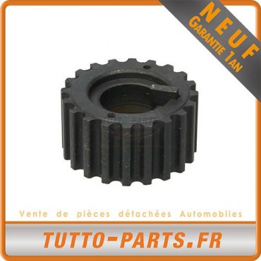 Poulie d'Arbre à Cames pour DACIA Logan RENAULT Clio Kangoo Modus