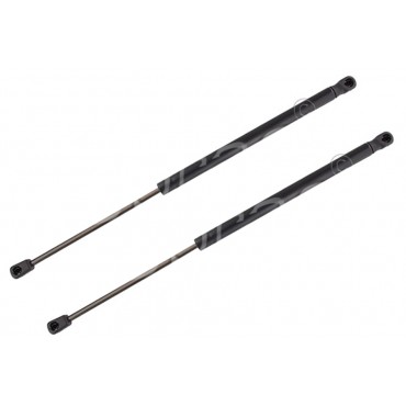 Vérin de Coffre Hayon x2...