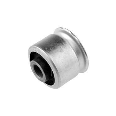 Silent Bloc de Pivot...