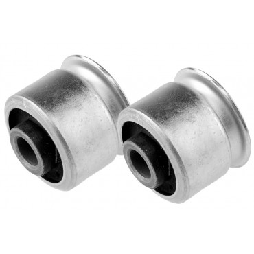 x2 Silent Bloc de Pivot...