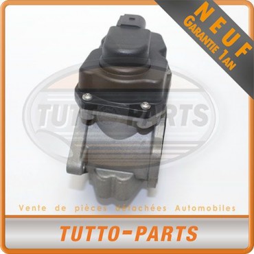 Vanne EGR Seat Ibiza