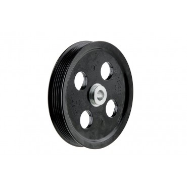Poulie Pompe de Direction Assistée Pour Jeep Wrangler III 3.6 V6 53032656AA