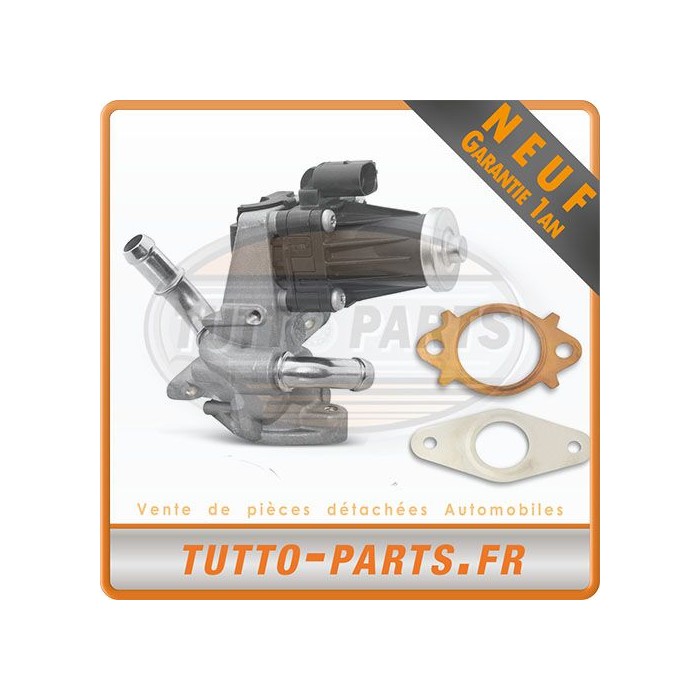 Vanne EGR Ford Ranger Transit