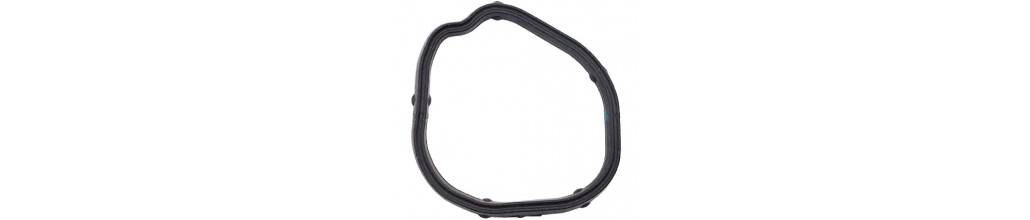 JOINT DU THERMOSTAT D'EAU